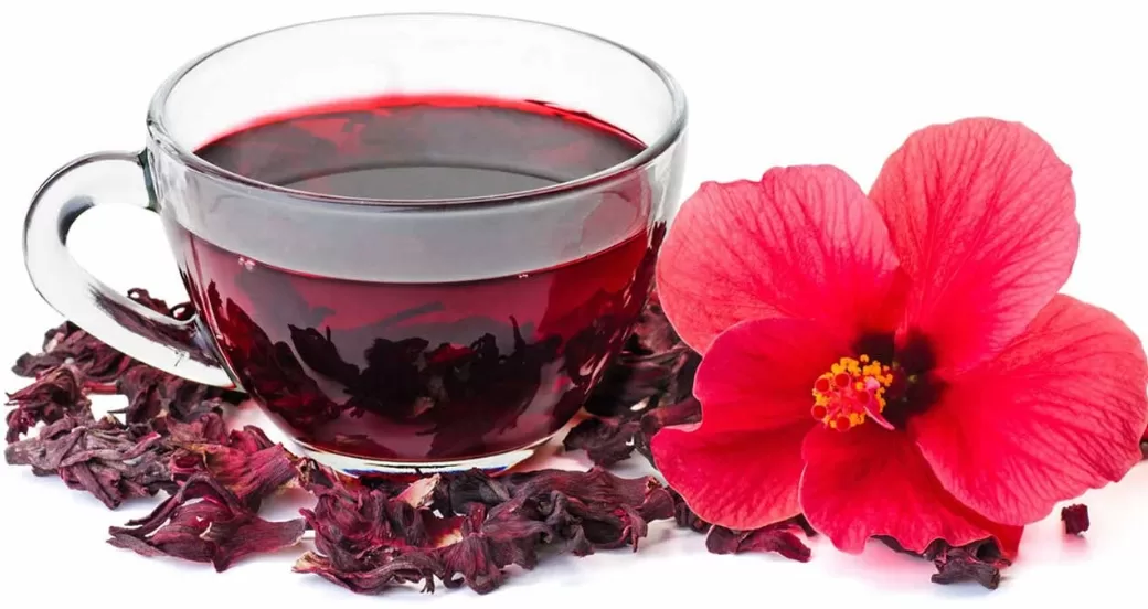 Chá de Hibisco
